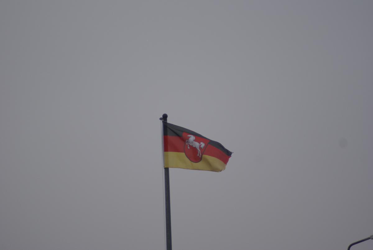 SONY DSC