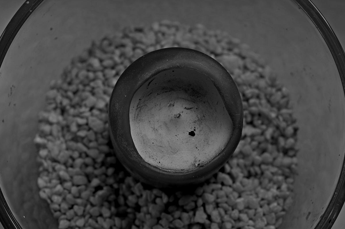 IMGP2497a