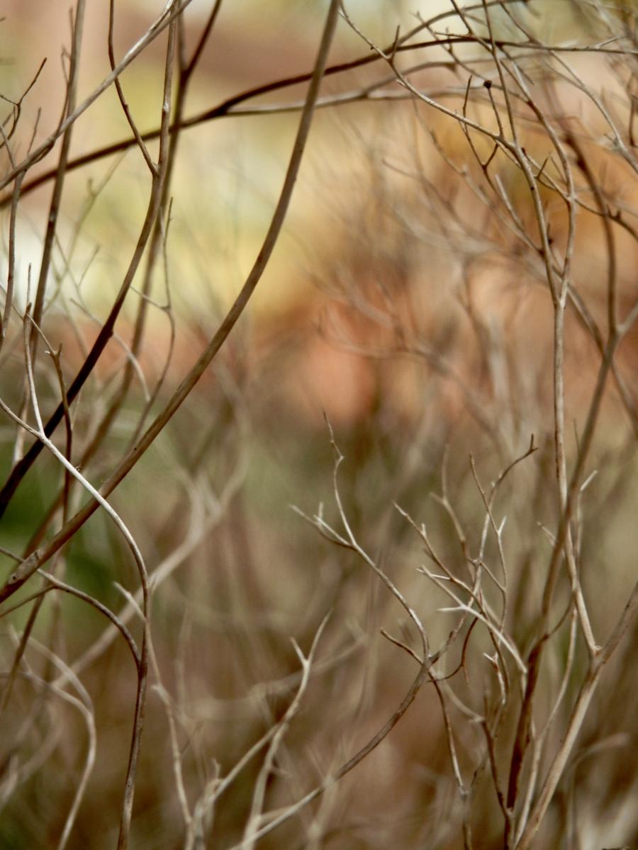 Durchblick