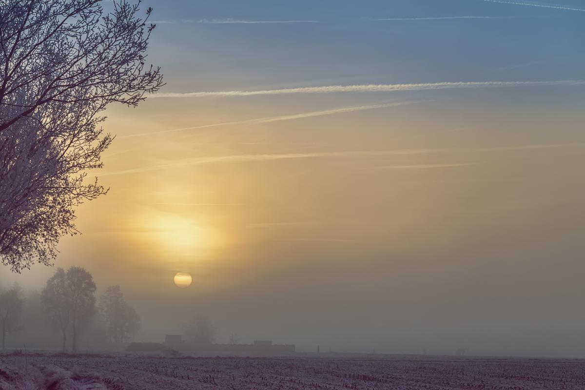 Nebel1