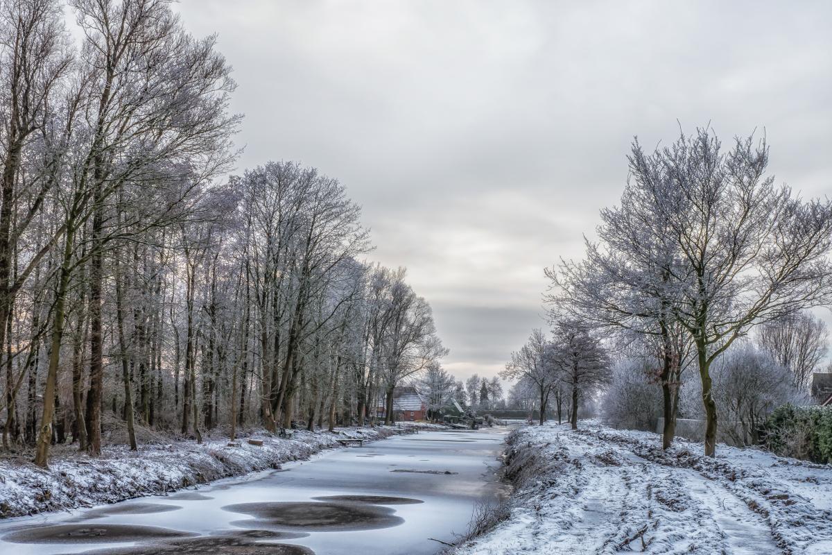 Winterfoto vom Ridding in Riepe 