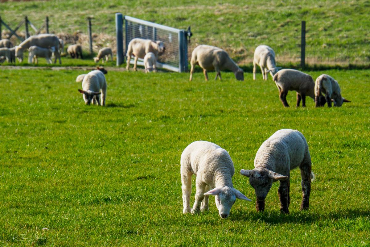 Das schmeckt mal wieder.