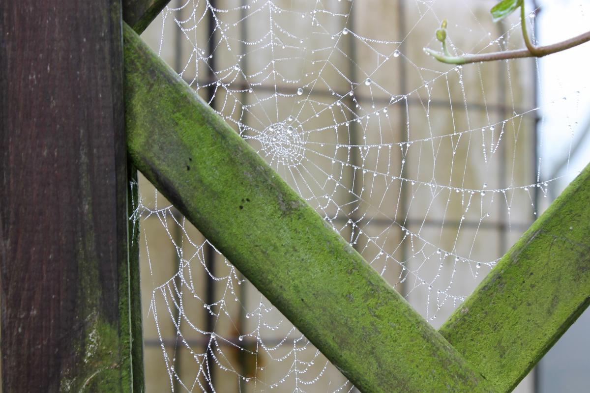 Ich habe mich versteckt