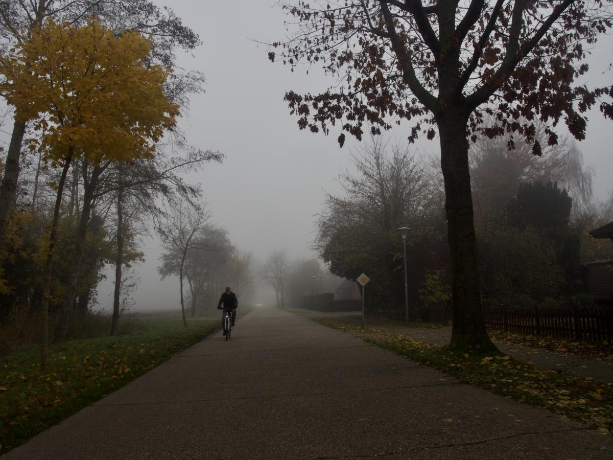 Nebel in Sichtweite