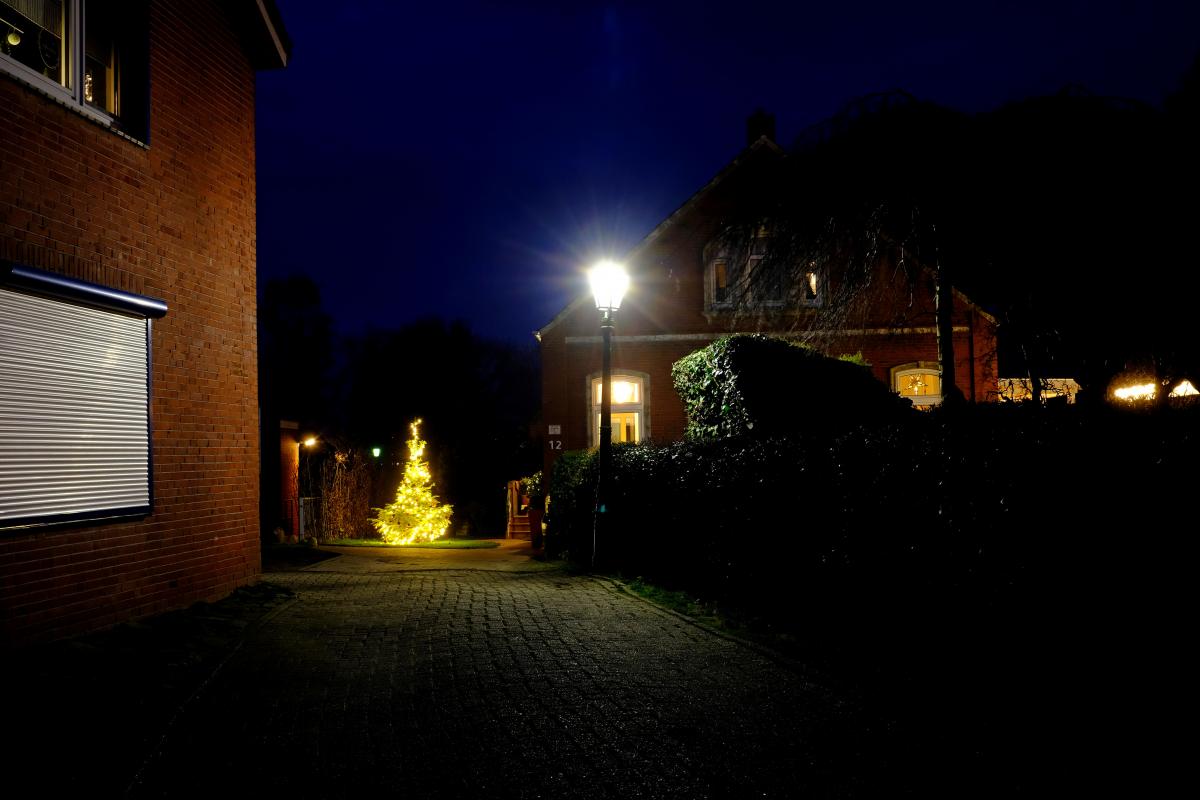 Einsamer Weihnachtsbaum