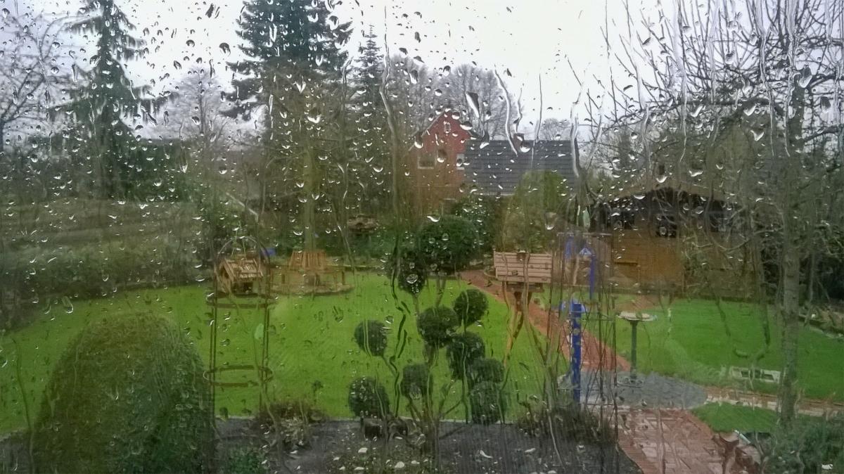 Blick durch das Fenster