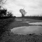 Hier bekommt man leicht nasse Füße