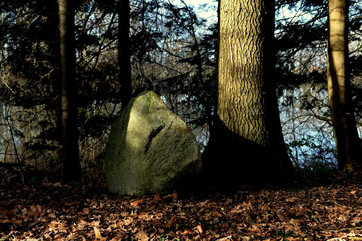 DSCF0558a
