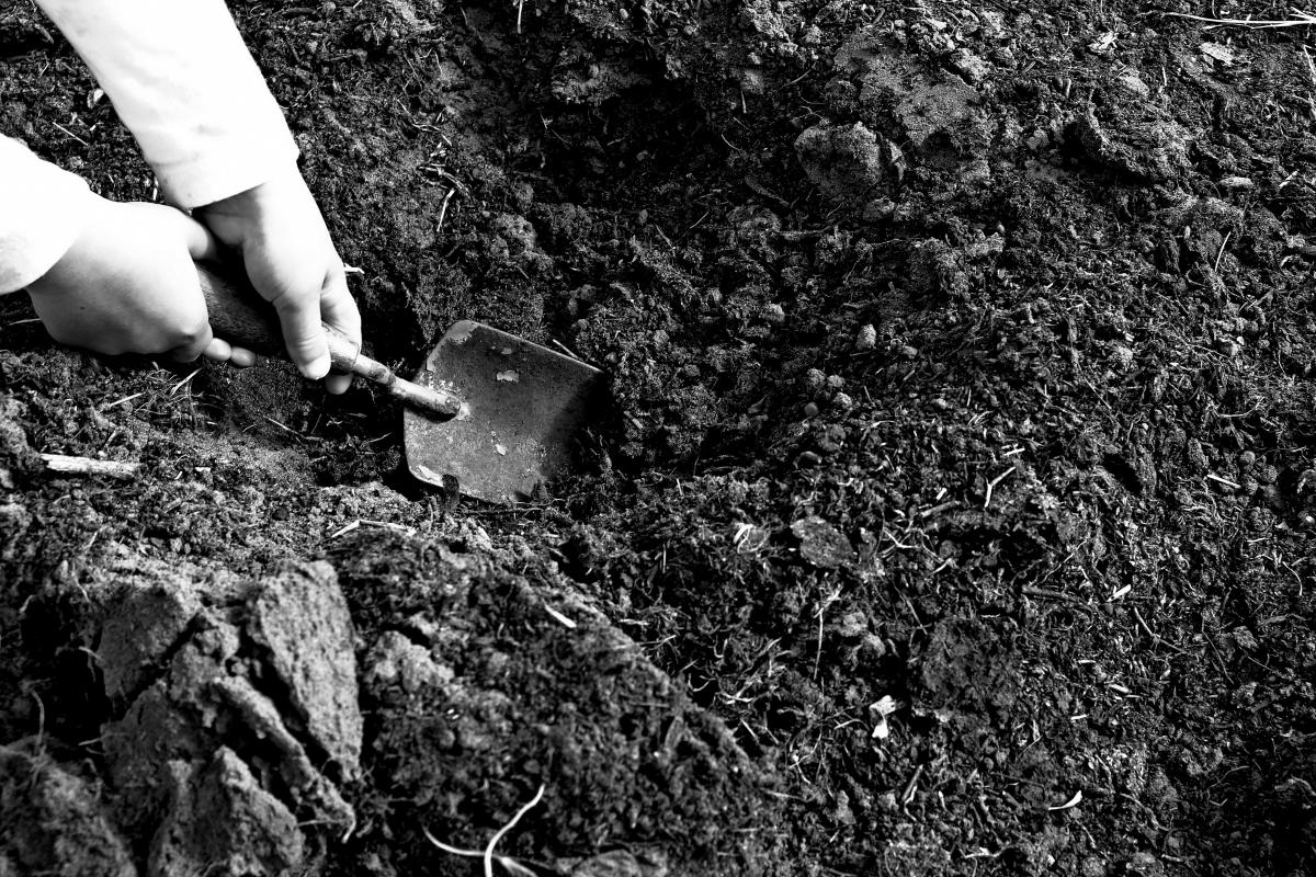 Mal sehen was ich hier finde.