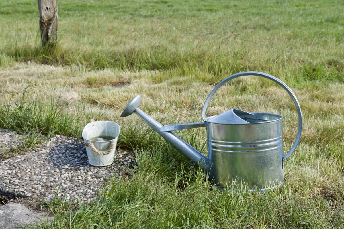 Gieskanne und Insektentränke