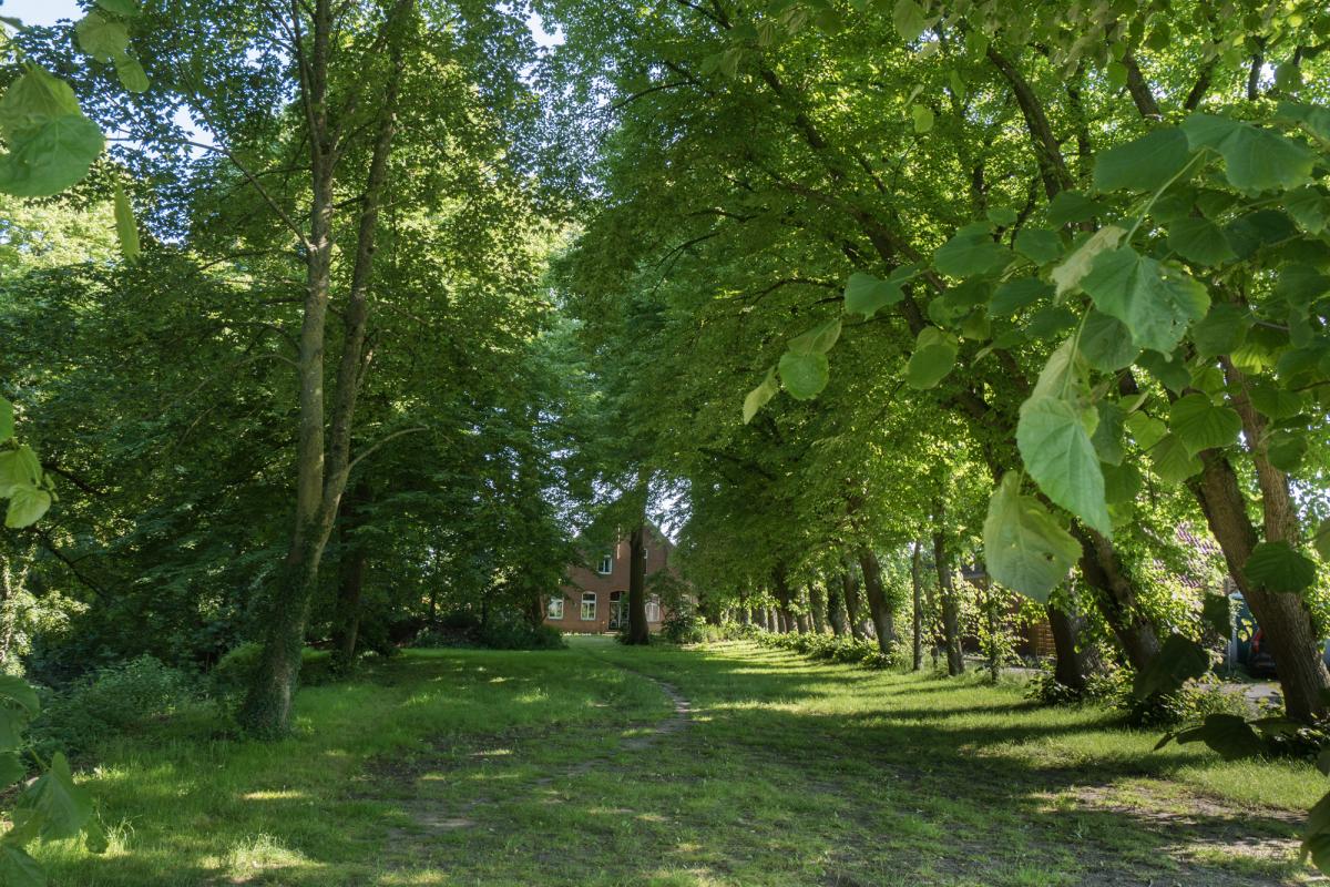 Allee bei der Osterburg