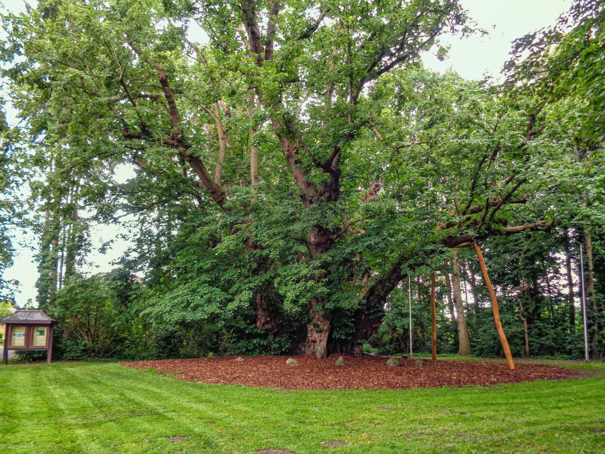 Ich brauch ne Stütze