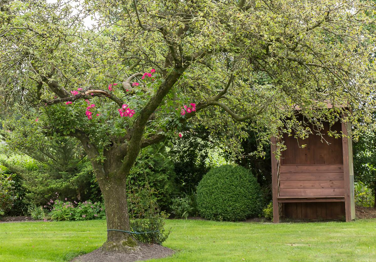 Mit fremden Blüten
