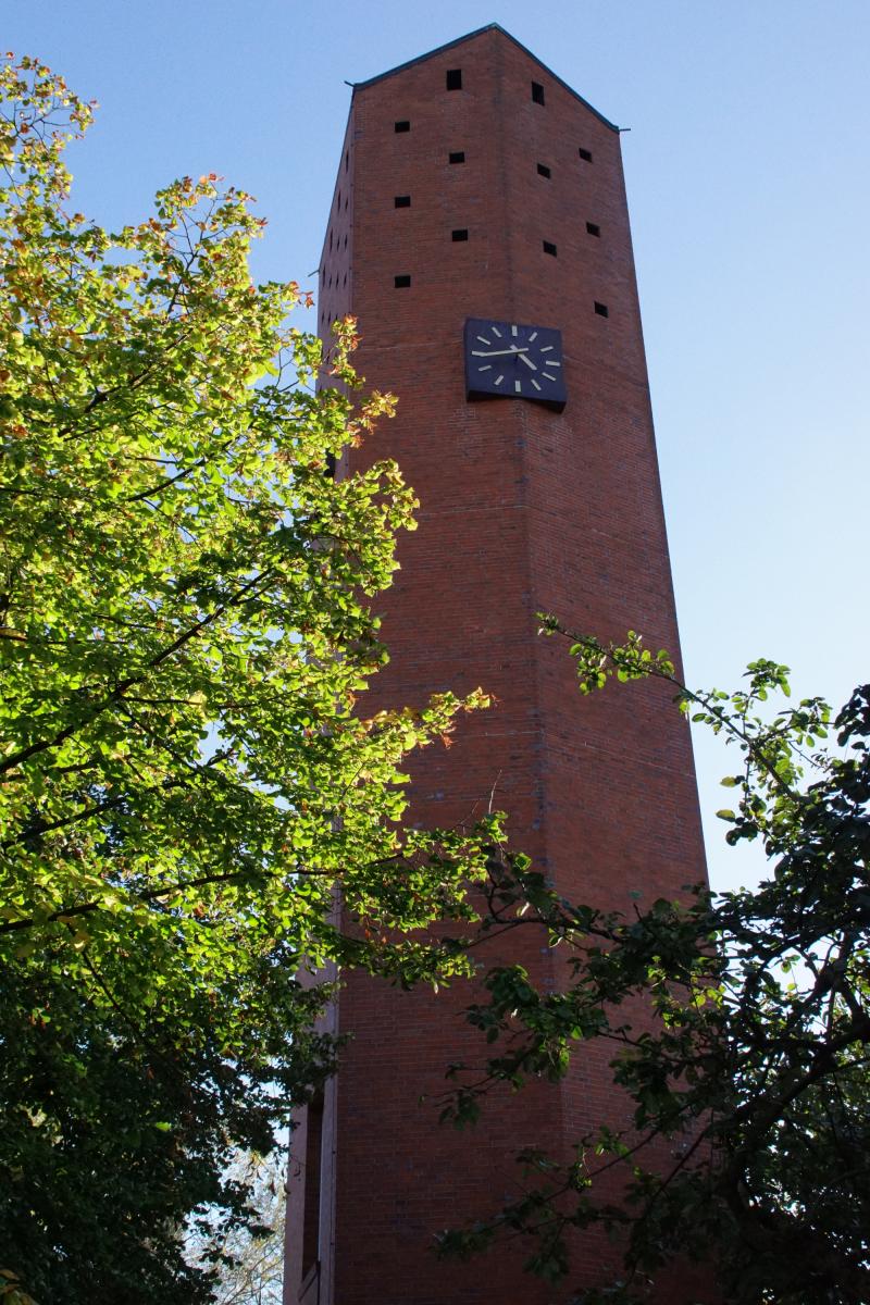 DSC02542