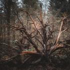 Es ging mir schon mal besser.