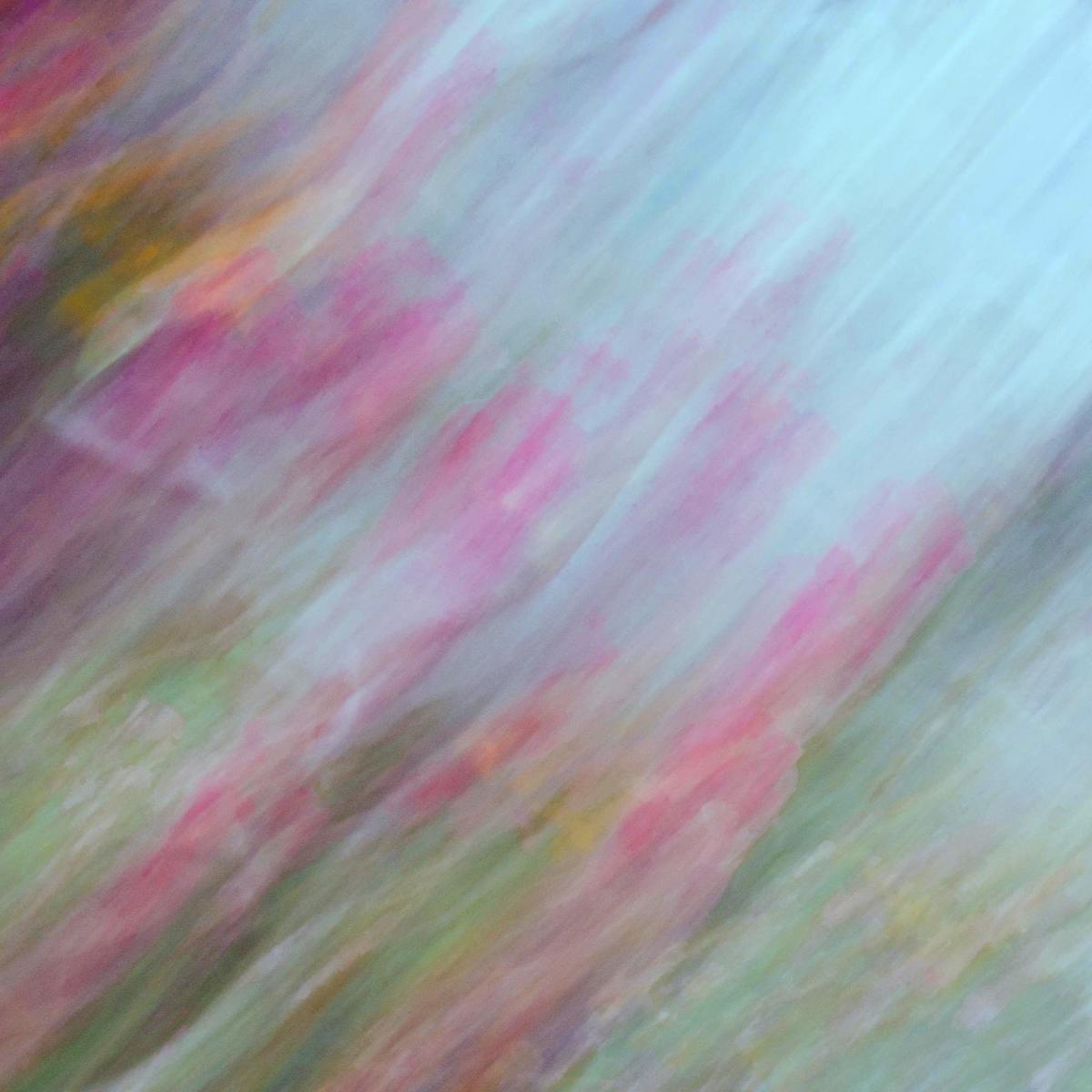 Tulpen