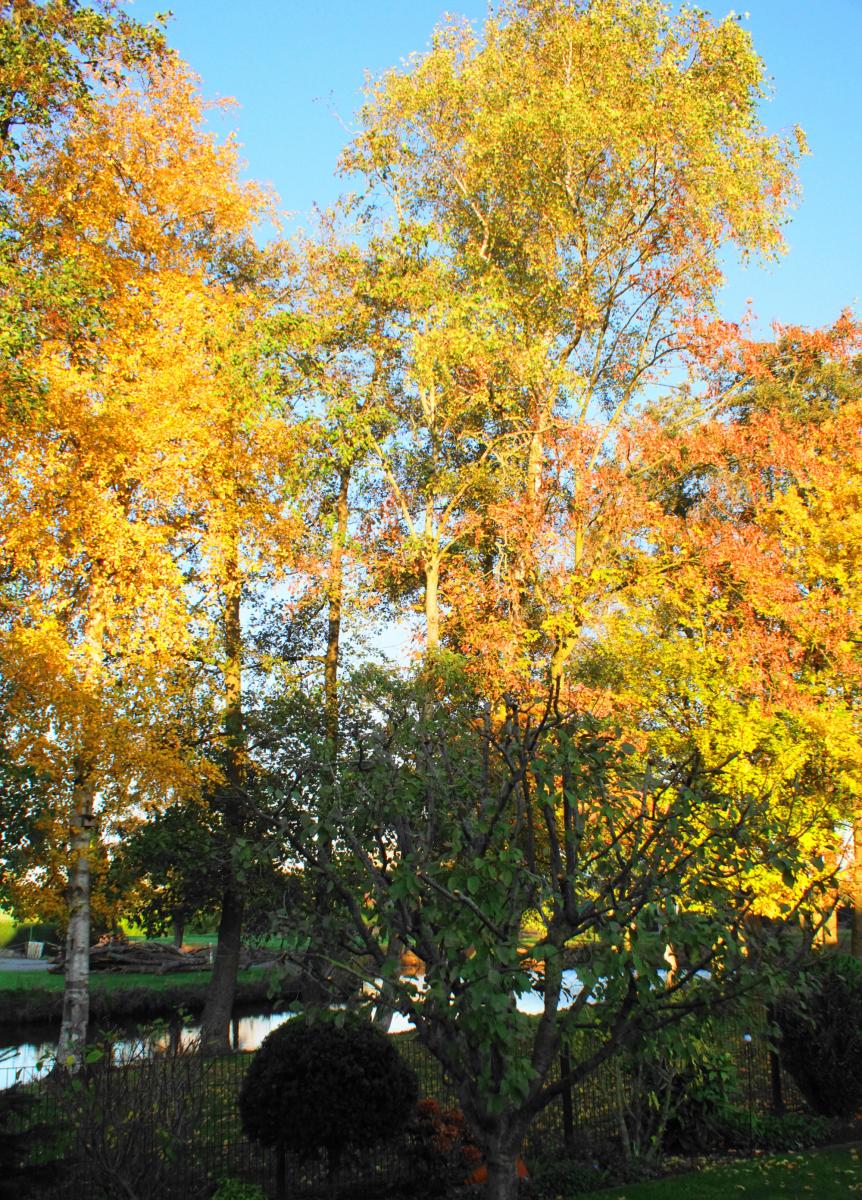 Herbstfarben