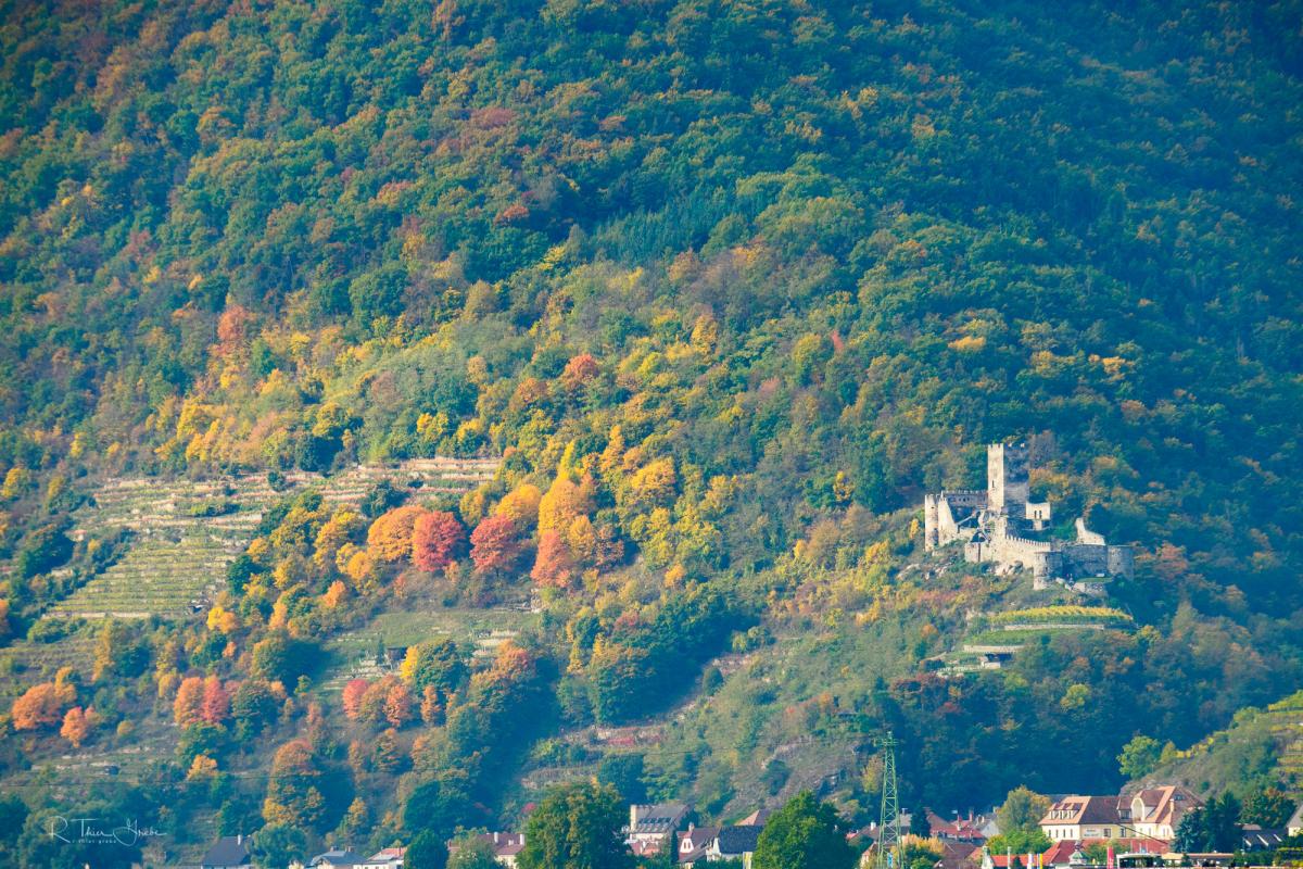 Ruine Hinterhaus, Wachau