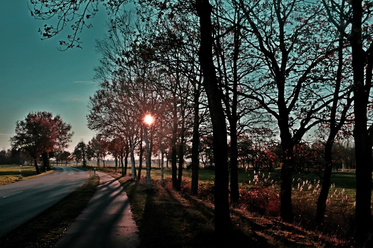 Lange Schatten