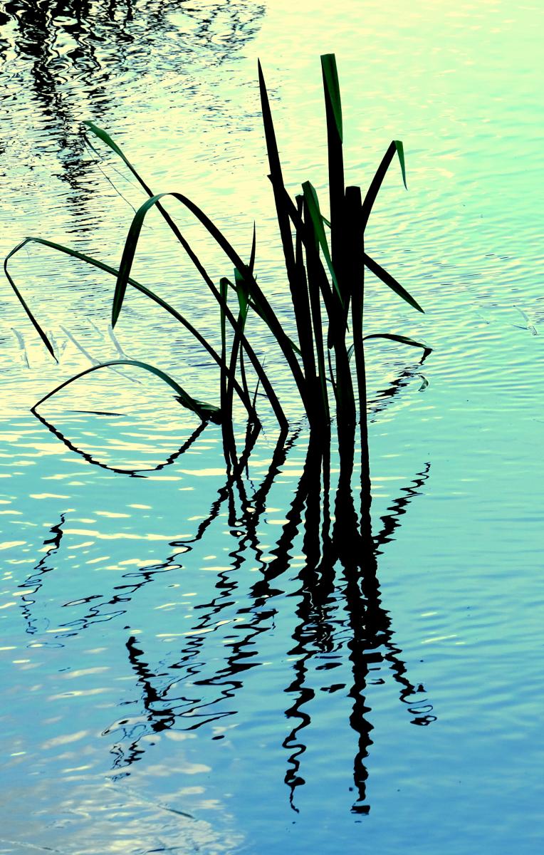 DSCF0935a