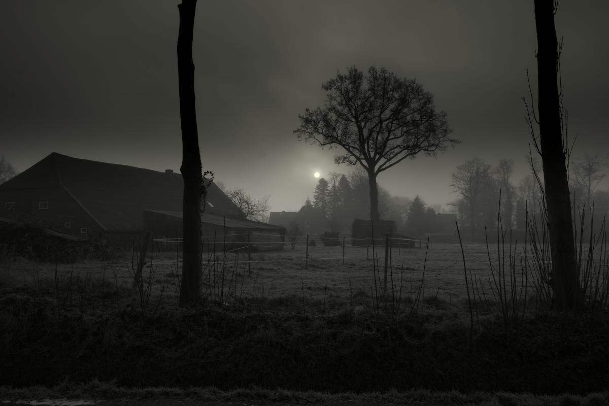 Ostfriesisches Bauernhaus im Nebel