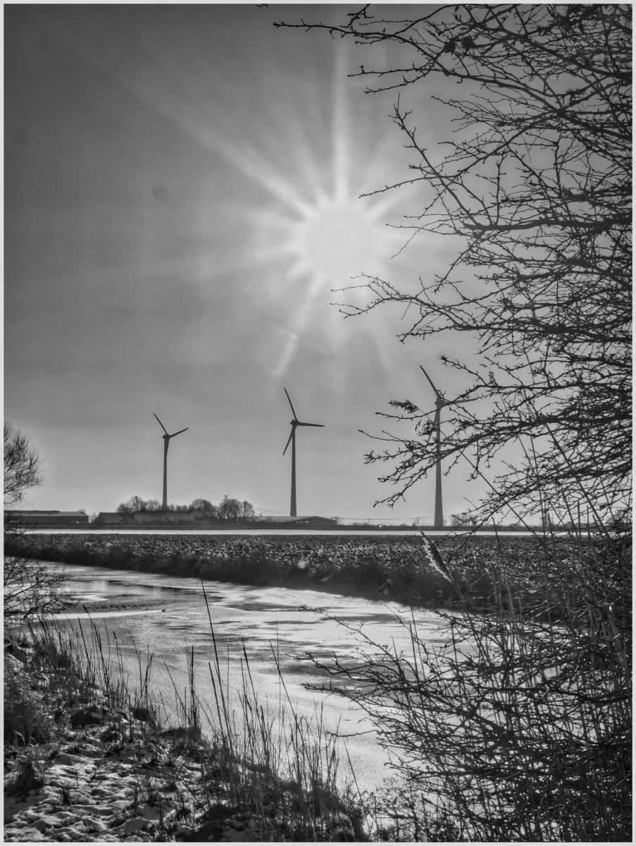 Riepster Hammrich im Winter