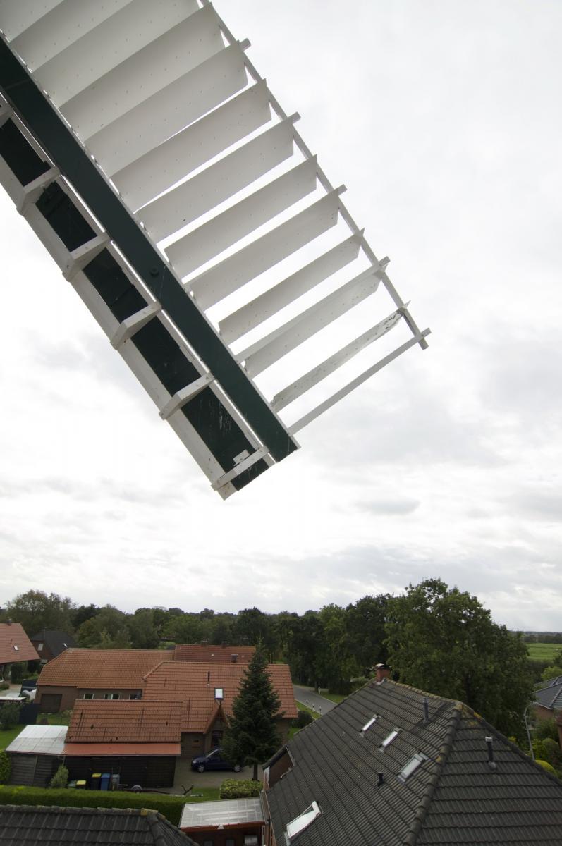 Flügel über Wiegboldsbur