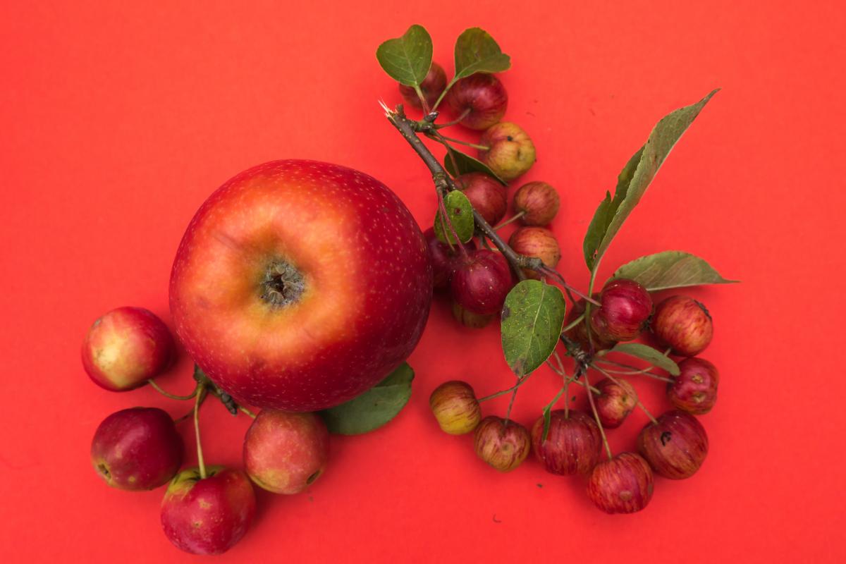 Der Herbst ist rot