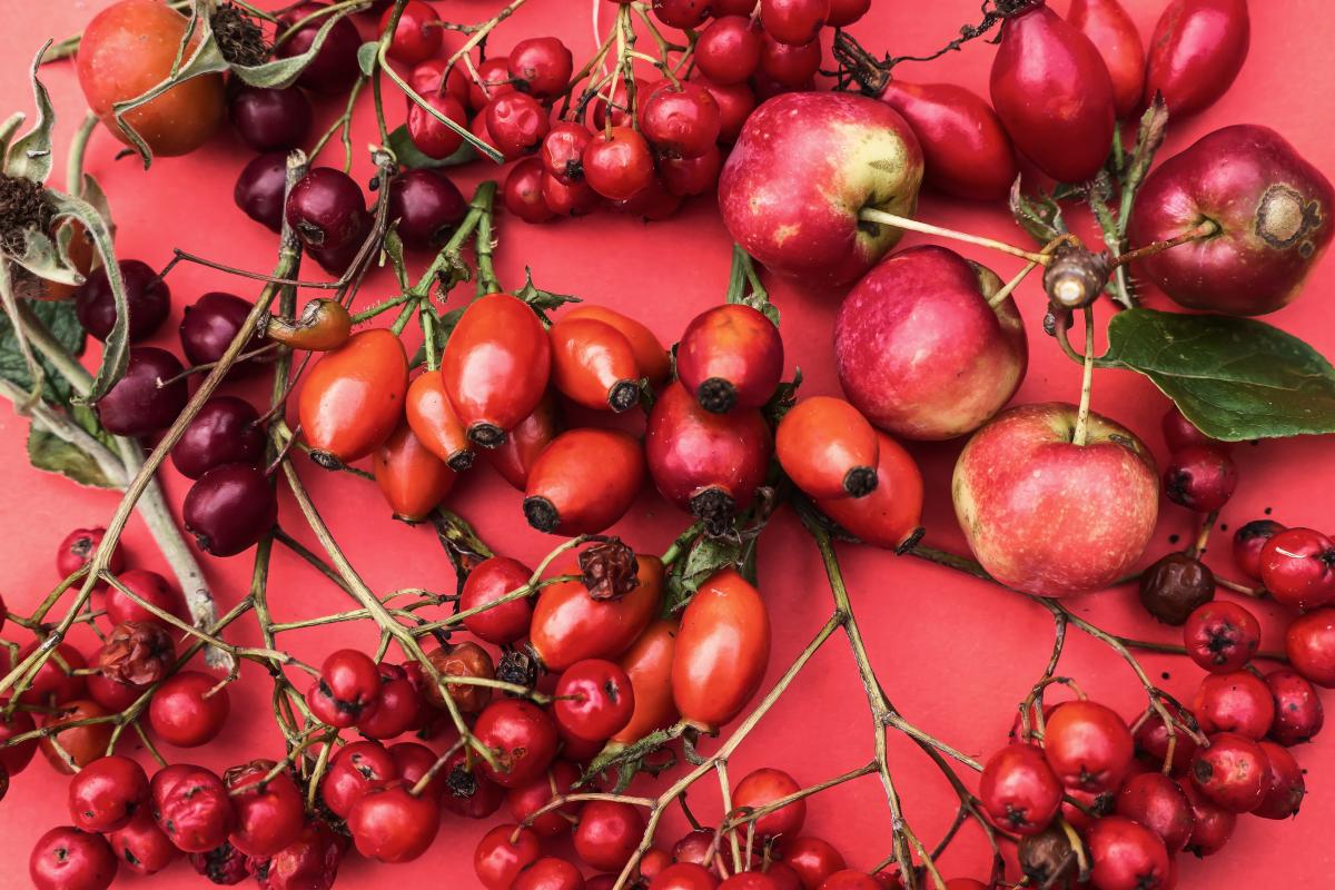 Rote Früchte und Beeren , 2. Foto