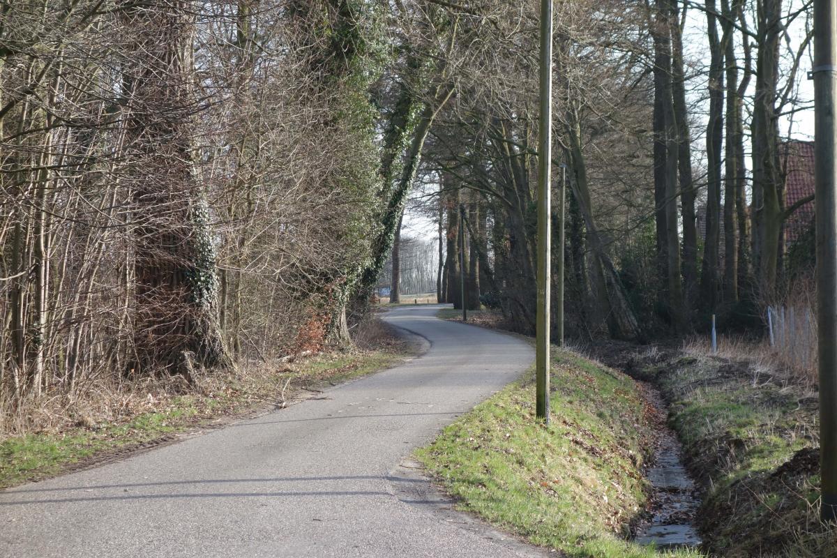 Waldweg