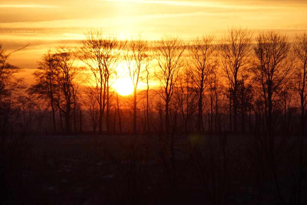 Sonnenaufgang zw. Bangstede u. Ihlowerfehn