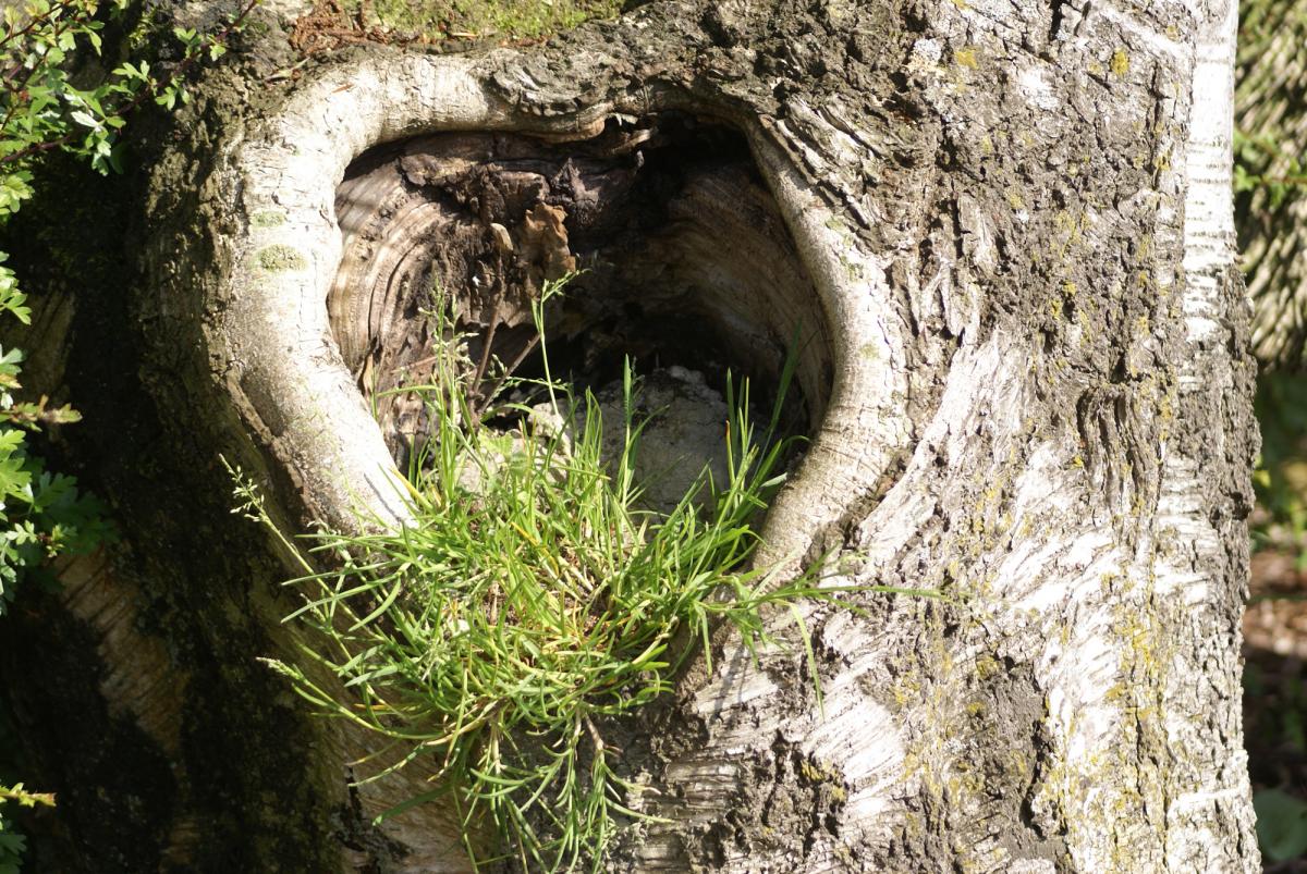 Ich hatte früher Untermieter