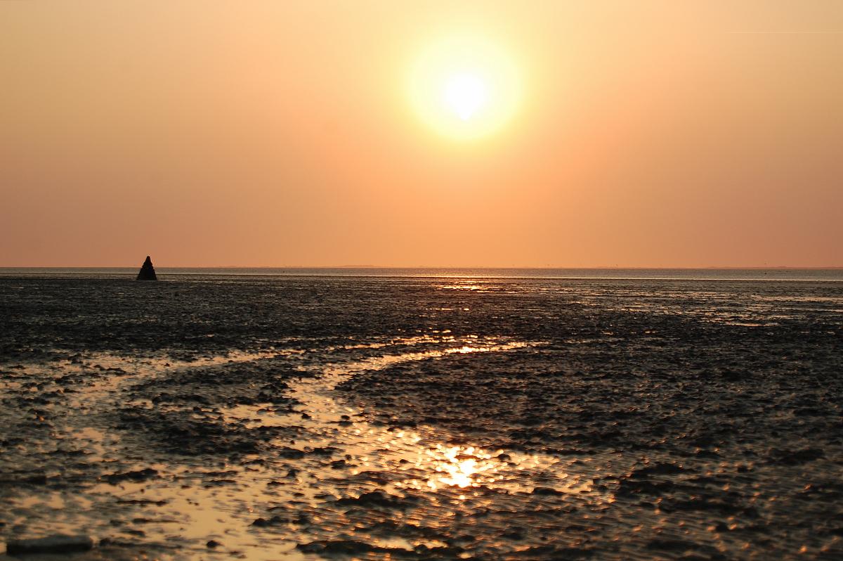 Das Wattenmeer