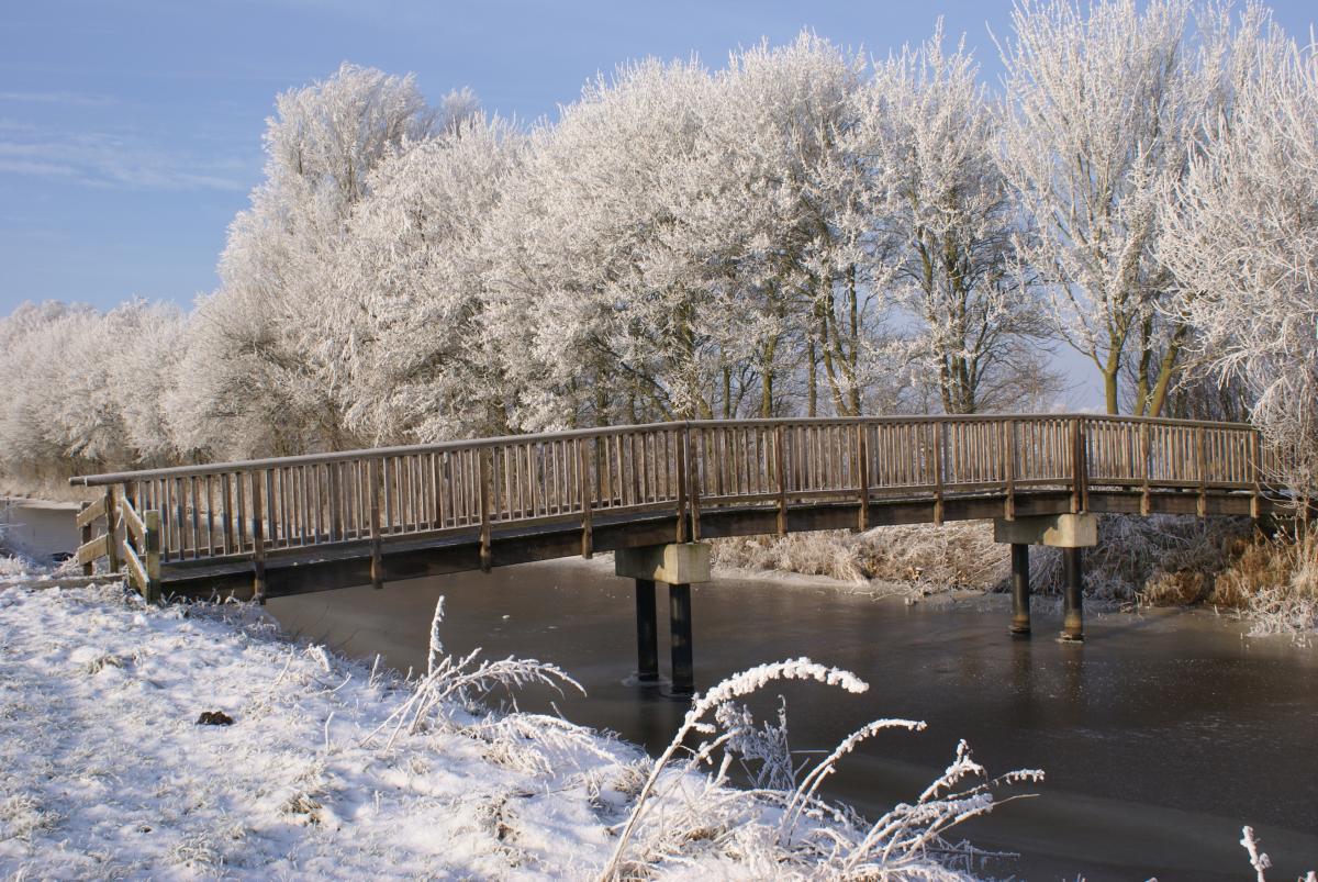 Brücke über den Ridding in Riepe