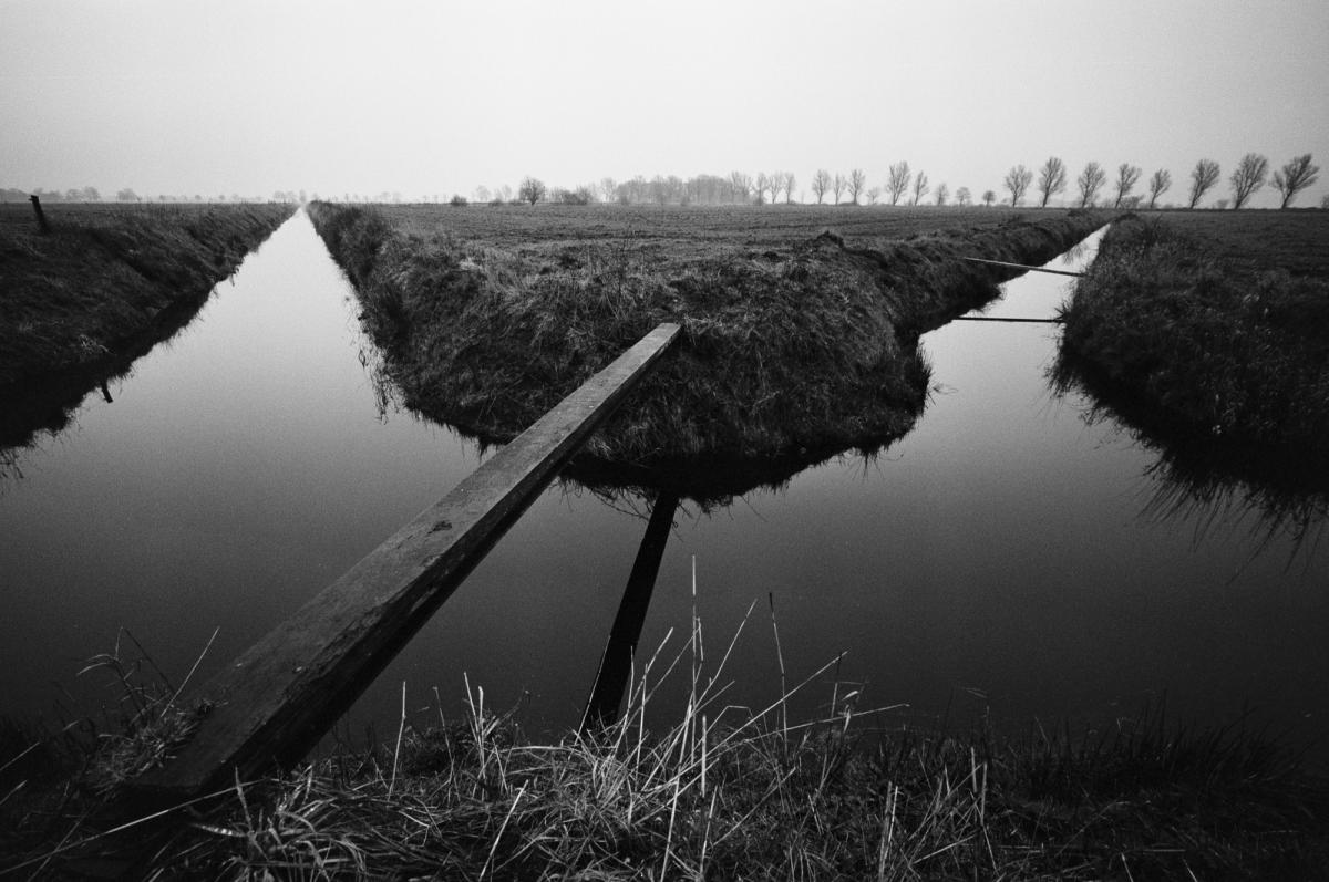 Planken