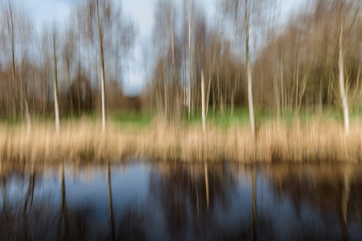 Unscharf_Baum